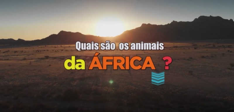 Video quais-sao-os-animais-da-africa