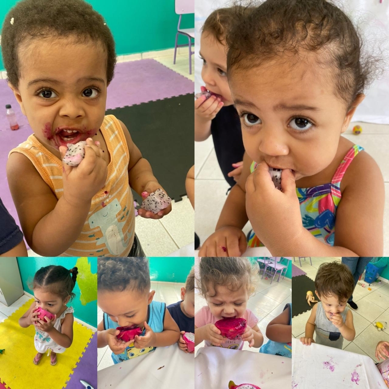 Galeria exploracao-descoberta-degustacao-e-pintura-com-a-pitaya