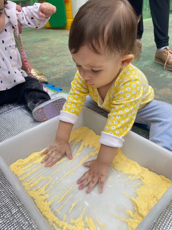 Galeria brincando-com-o-amarelo-do-milho