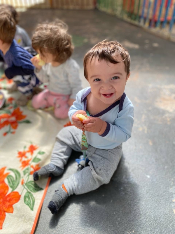 Galeria piquenique-de-frutas