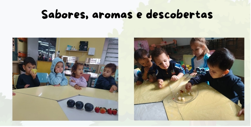 Galeria acoes-investigativas-a-lagarta-comilona