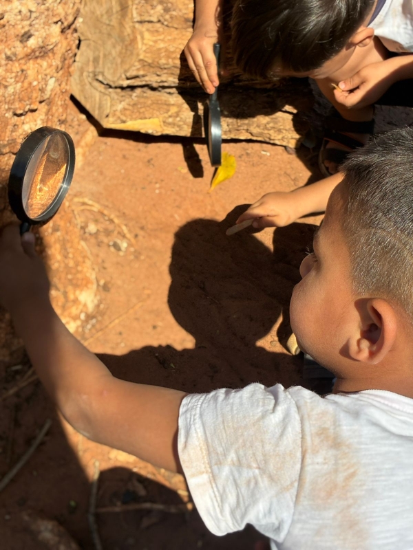 Galeria investigacoes-e-descoberta-na-praca