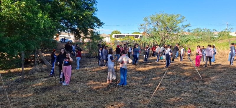 Galeria cuidando-do-nosso-planeta