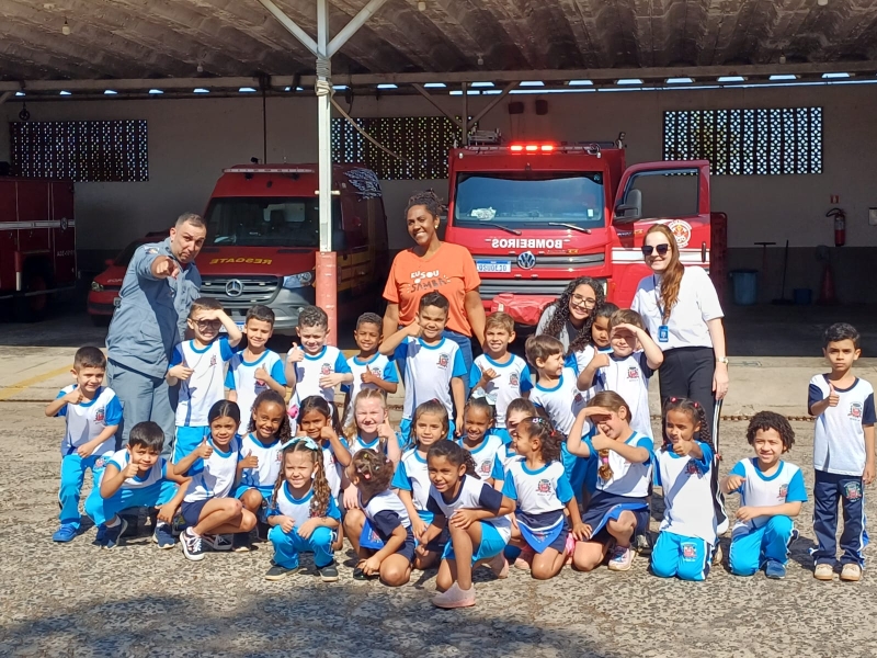 Galeria projeto-brasinha