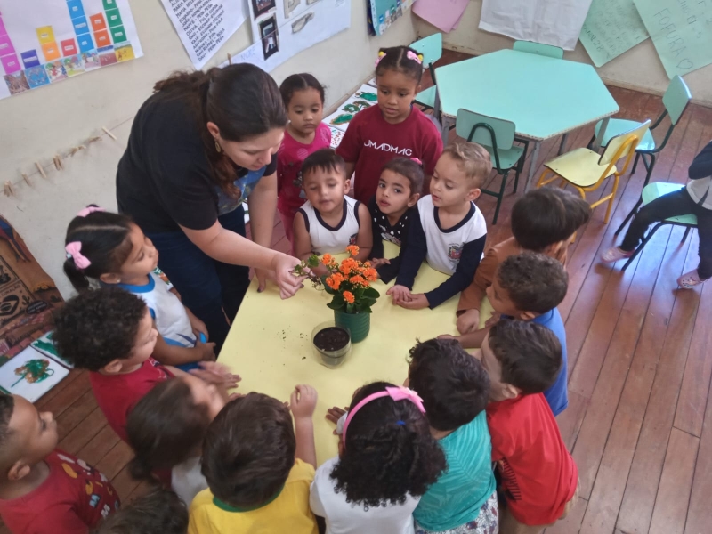 Galeria projeto-institucional-escola-verde--a-beleza-das-flores-olhar-descobrir-e-criar