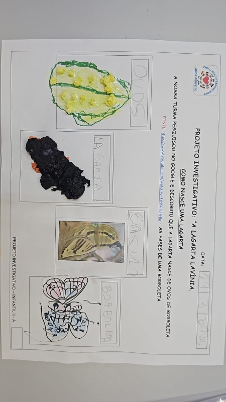 Galeria -projeto-investigativo---infantil-2-a-lagarta-lavinia