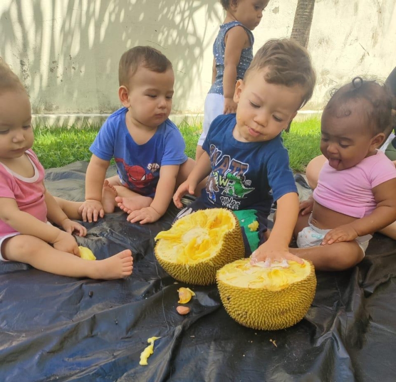 Galeria turma-do-nivel-i-b-conhecendo-a-jaca