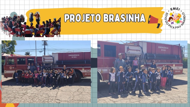 Galeria o-projeto-brasinha-2025-foi-um-verdadeiro-sucesso