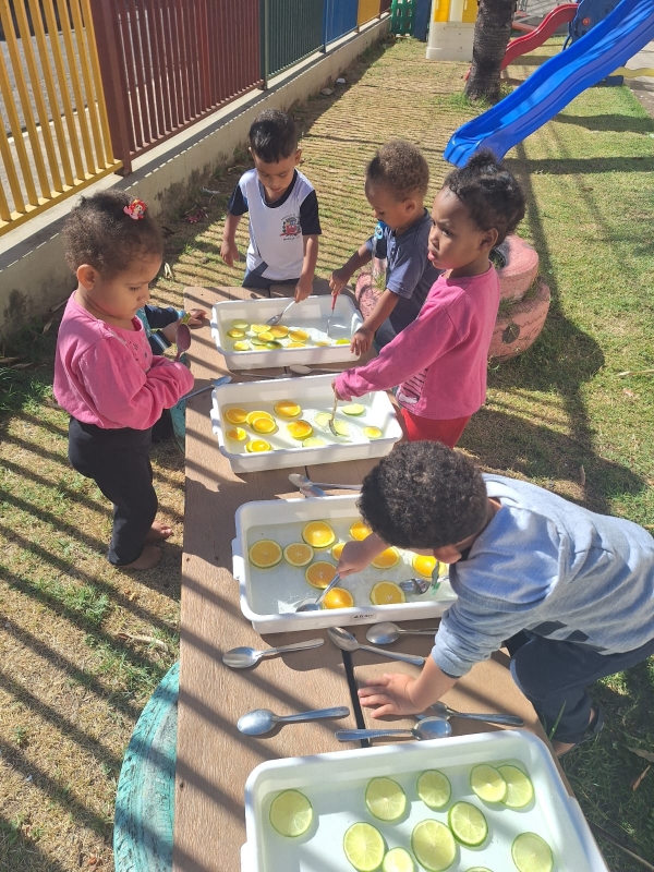 Galeria investigacao-com-frutas-citricas