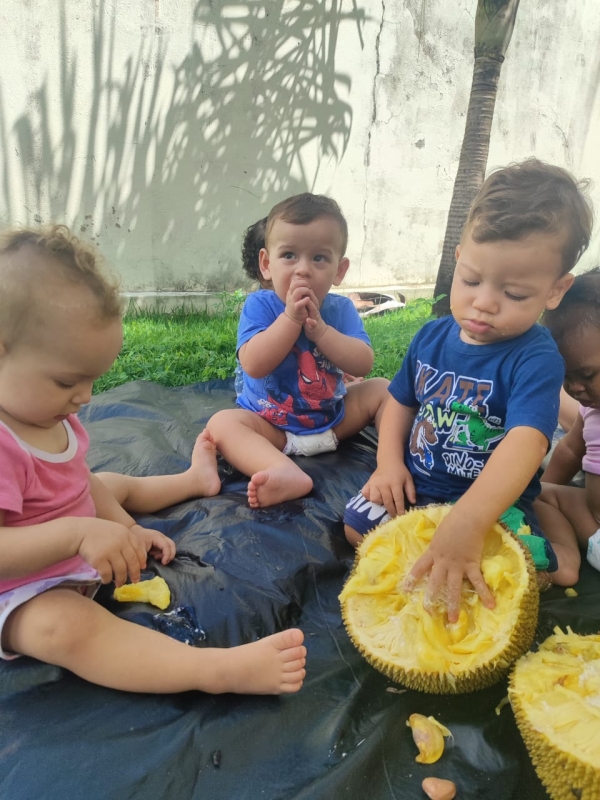 Galeria turma-do-nivel-i-b-conhecendo-a-jaca