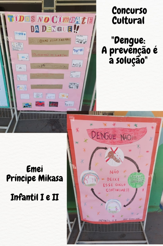 Galeria dengue-a-prevencao-e-a-solucao